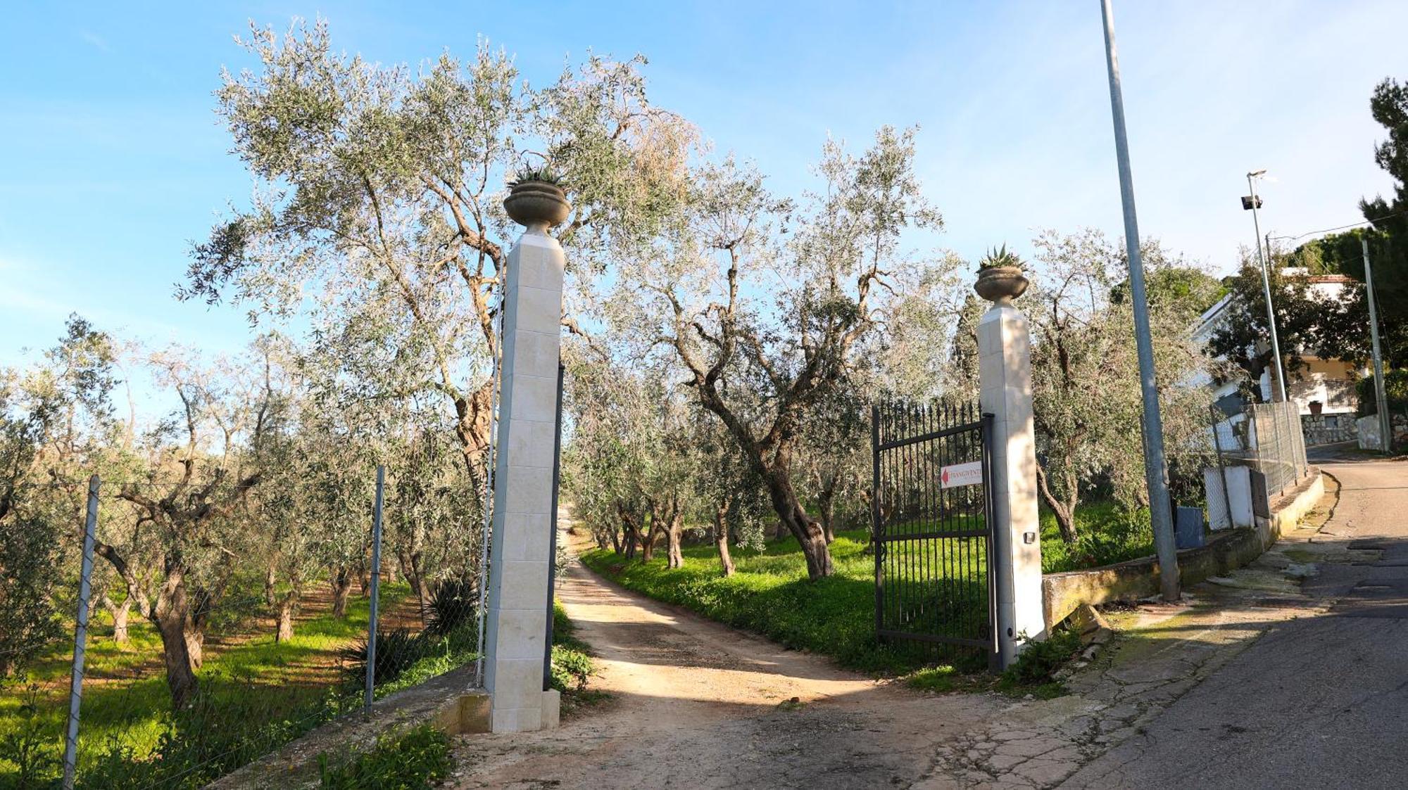 Bed and Breakfast I Frangiventi Rodi Garganico Exterior foto